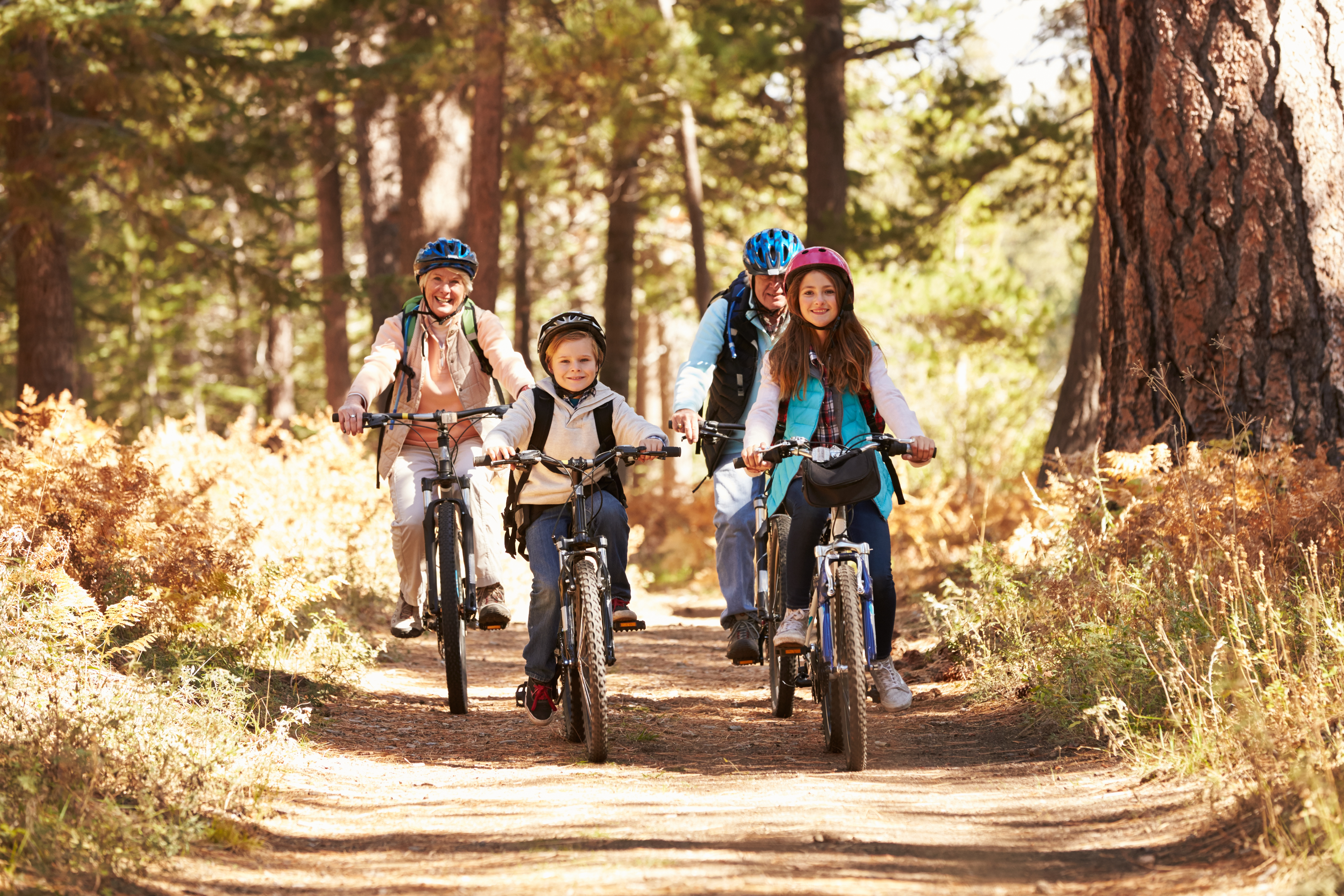 Grandparents and kids cycling on forest trail, California