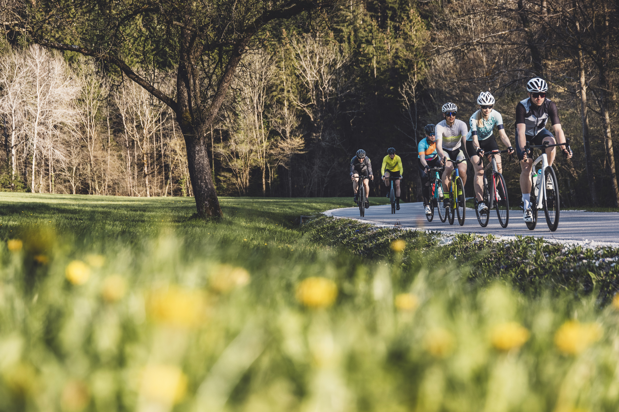 Groep wielertoeristen op de baan in een mooie natuuromgeving met bomen en bloemen op de voorgrond